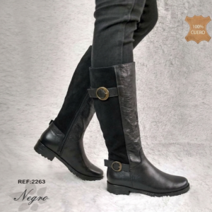 2263 Bota Negra